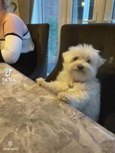 ? ? He knows it
