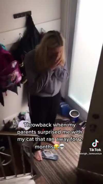 To return a home body cat