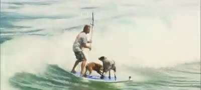 Doggies having quality surfing time with their dad ?