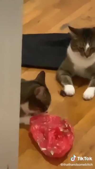 Why are they holding hands ?