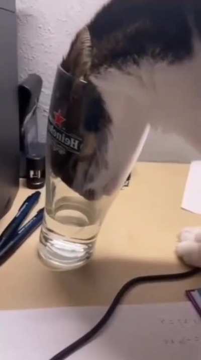 Just taking a sip