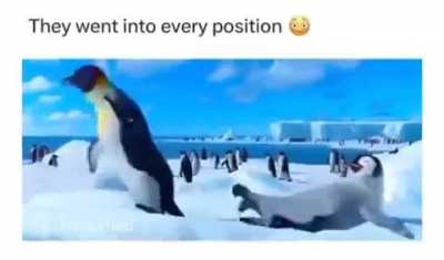 O_o
