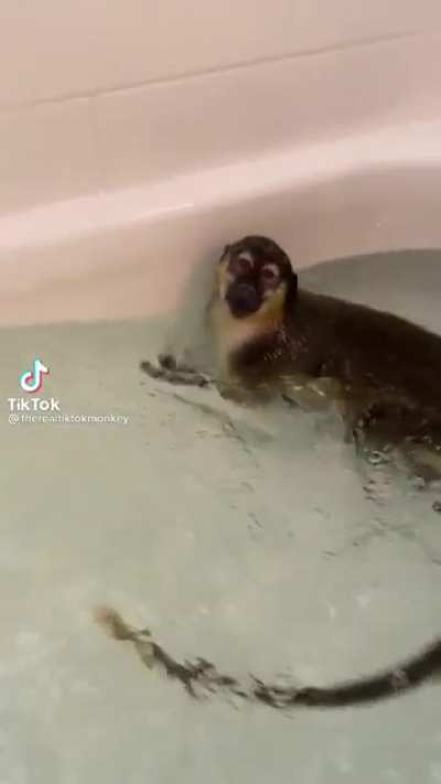 Splish splash.