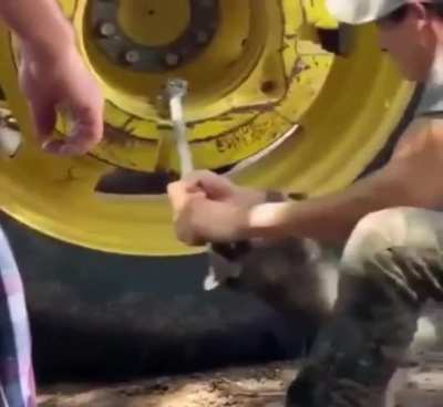 Looks like you need a little extra help on this one, hooman