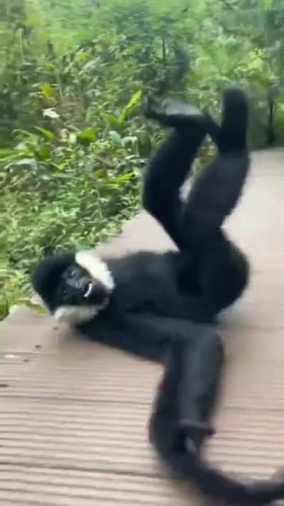 How you doin'?
