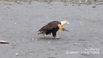this is america! credits: u/omgwerhvngafire_sale