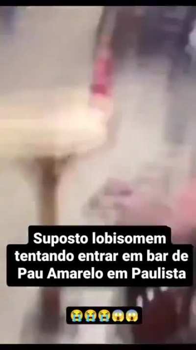 People try to scare away presumed "werewolf" in brazilian bar