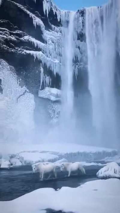? Skogafoss Waterfall in Iceland