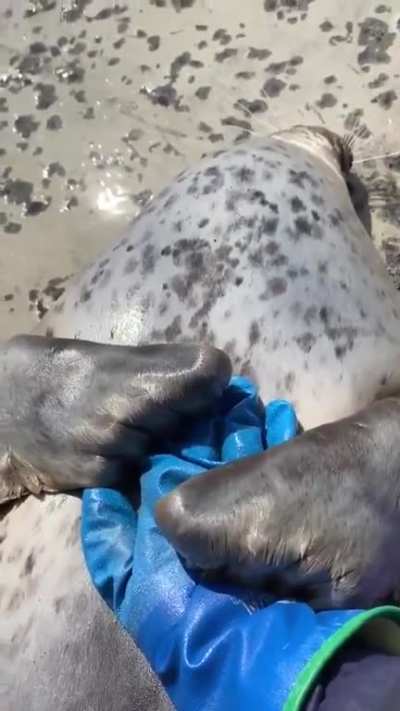 ? Giving the seal of approval ?