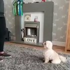 I can watch this all day