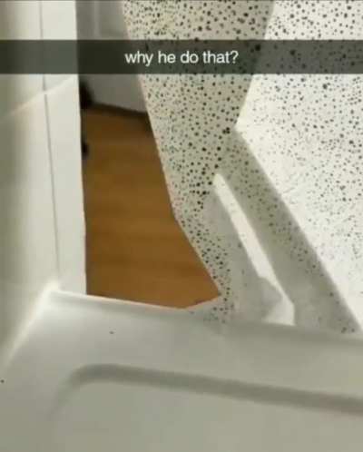 Why he do that?