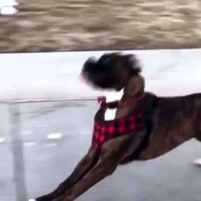 LOOK HOOMAN. I SLIIIDE