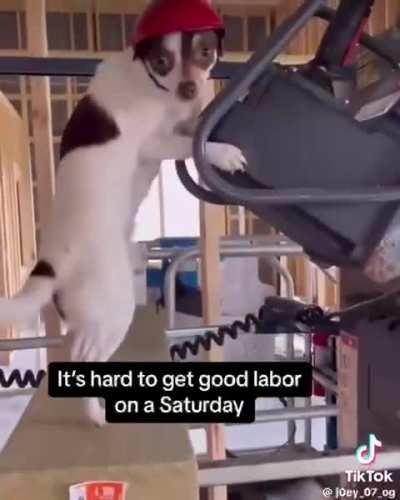 dat his first day..?