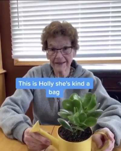 Grandma’s Succulent Tour - 9/10 at least