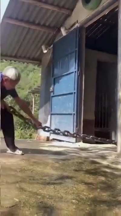 That's one strong doggo