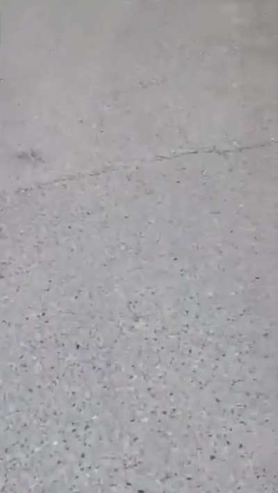 WCGW Skateboarding down a hill in San Francisco