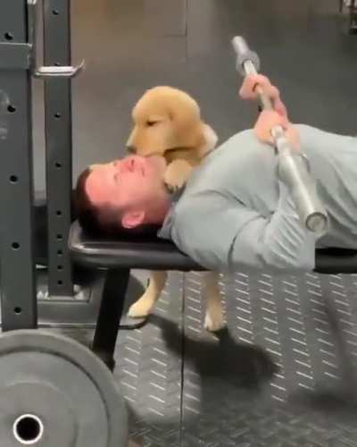 This way I'll never have bigger muscles my dear