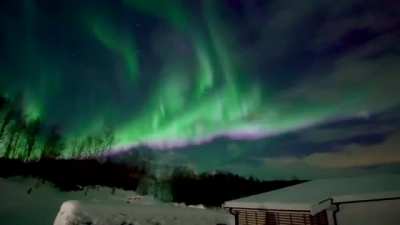 ? Northern Lights in Senja, Norway ?