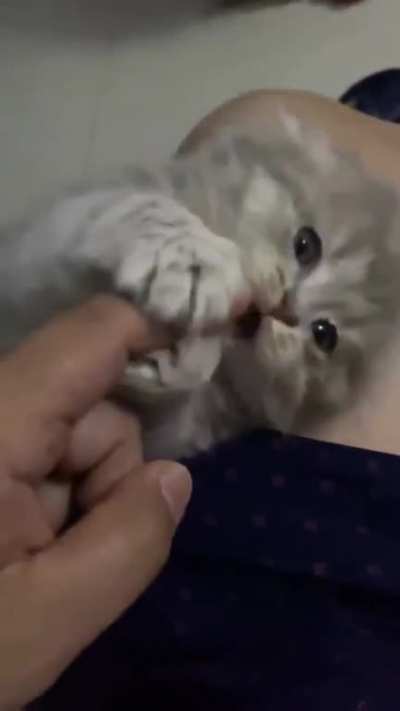 She bites, then she sleeps, then bites again, then sleeps again. ?