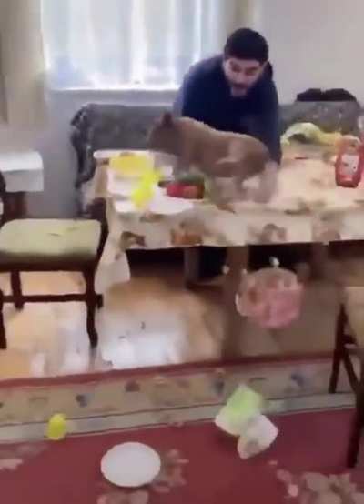 WHAT??
