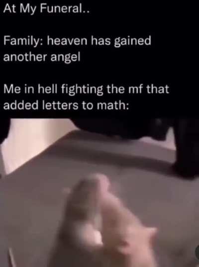 Come at me bro