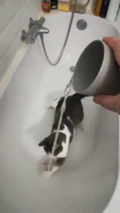 Gonna catch it