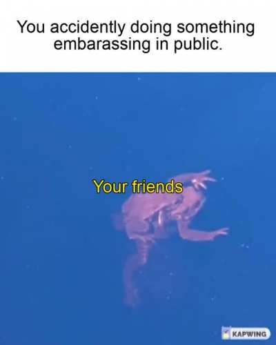 "Oh, I've never seen this guy in my life"