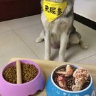 Which to choose?