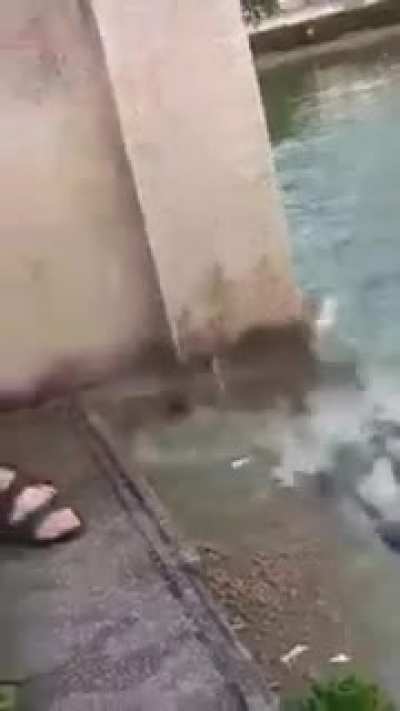 Never trust whats in the water.
