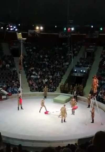 A difficult circus trick performed flawlessly