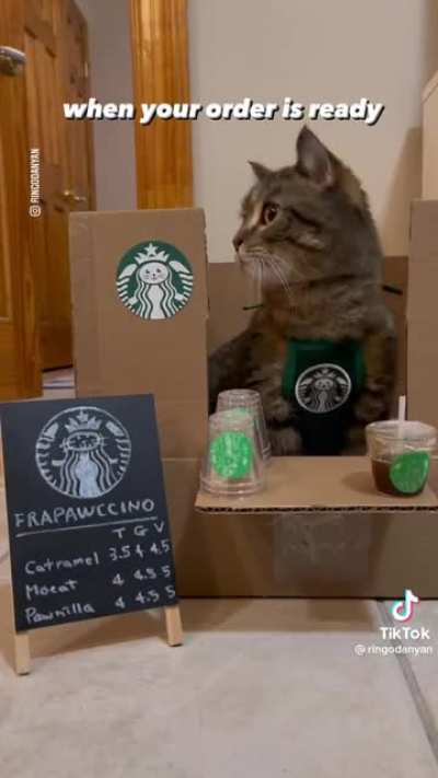 A purrista