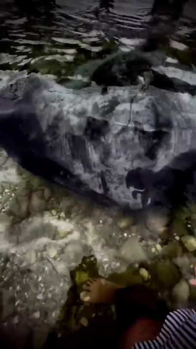 Maybe Maybe Maybe