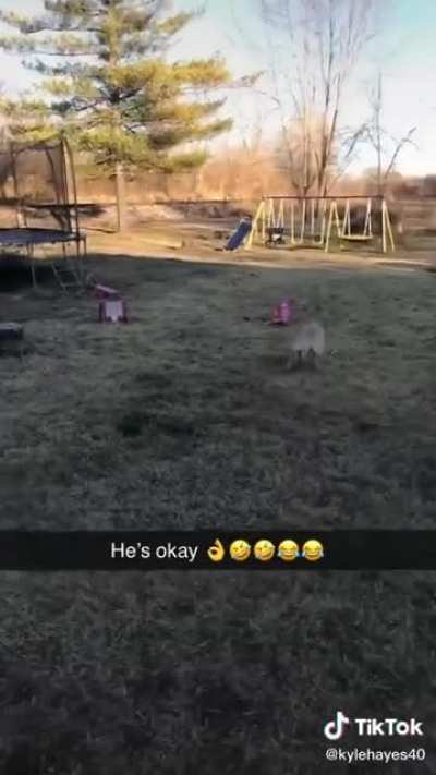 dude was having asthma attack ?