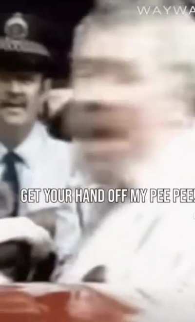 I've always thought this is exactly how every interaction with police goes with the British ?