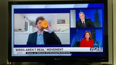 Interviewing With the Founder of Birds aren't Real