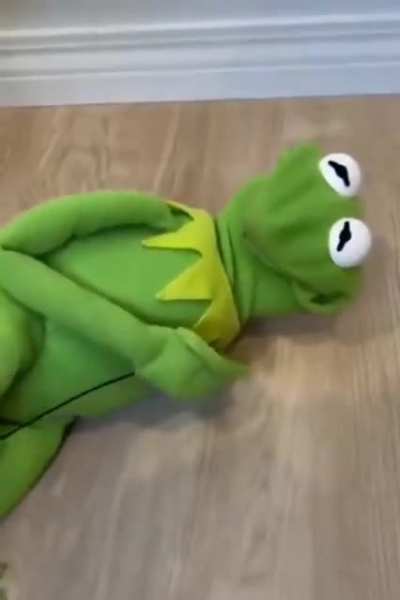 Kermit after a long days work