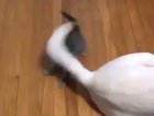 The big fight