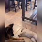Found this video thought you guys would like to see it
