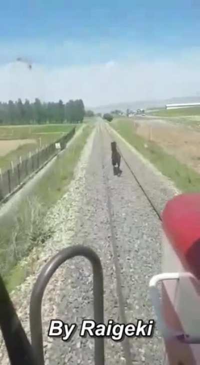 Sometimes horses can be faster than trains