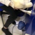 Good Boi Guide Dog Picks His Own Toy