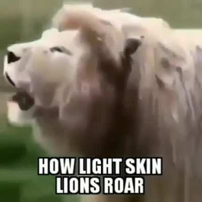 wow...?
