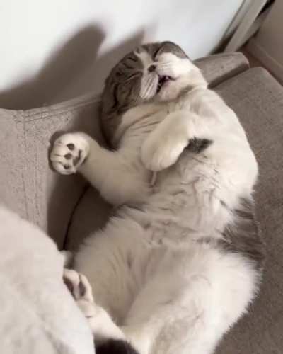 snoring