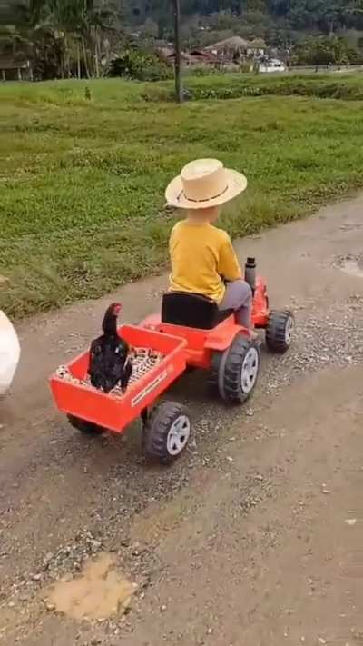 Little buddy is living the life ??‍???? ?