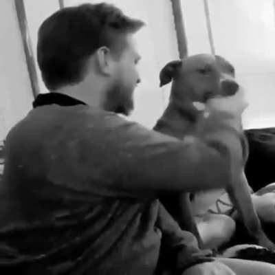 Bop it