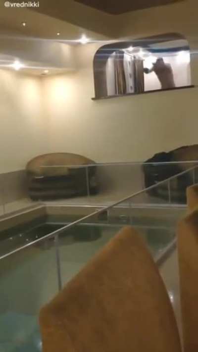 WCGW jumping from a high place into a pool with glass fence