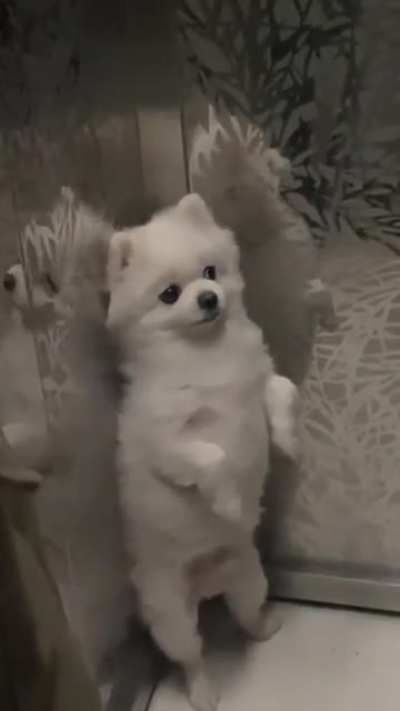 Why you looking at me weird? am just like you.
