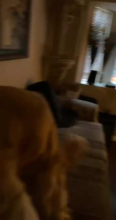 Merry Christmas ??