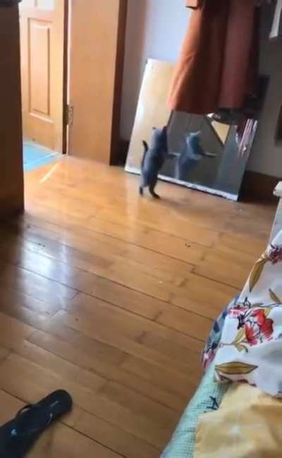 Fight or flight?