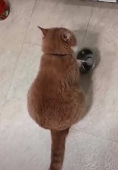 It’s dinner time dammit...