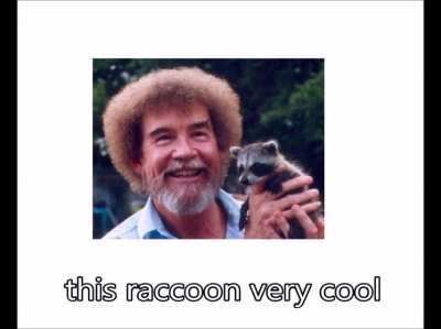 I like raccoon